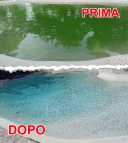 Eliminare Alghe Piscina